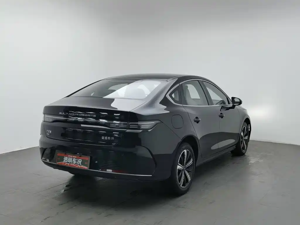 BYD Destroyer 05 — миниатюра 2
