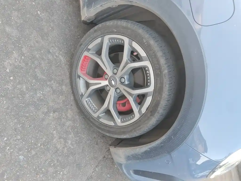 Ora Ora Good Cat GT — миниатюра 25