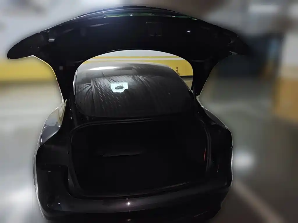 Tesla Model 3 — миниатюра 15
