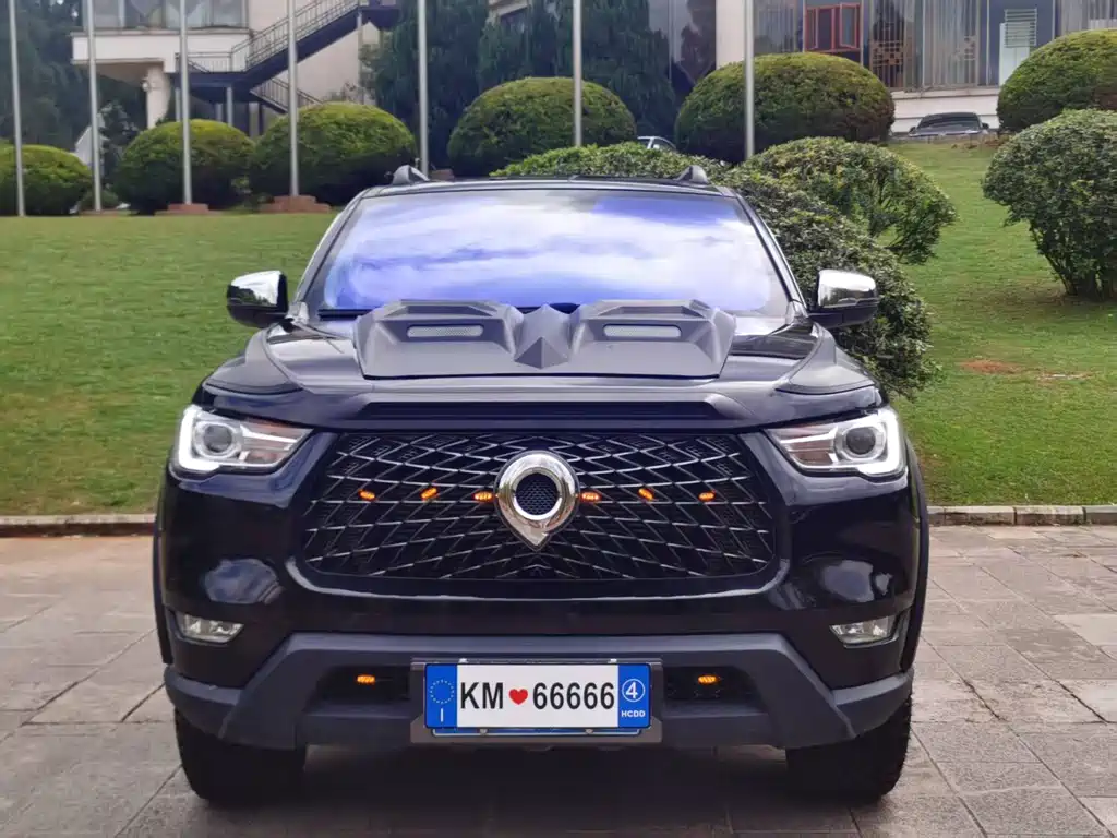 Great Wall Pao — миниатюра 2
