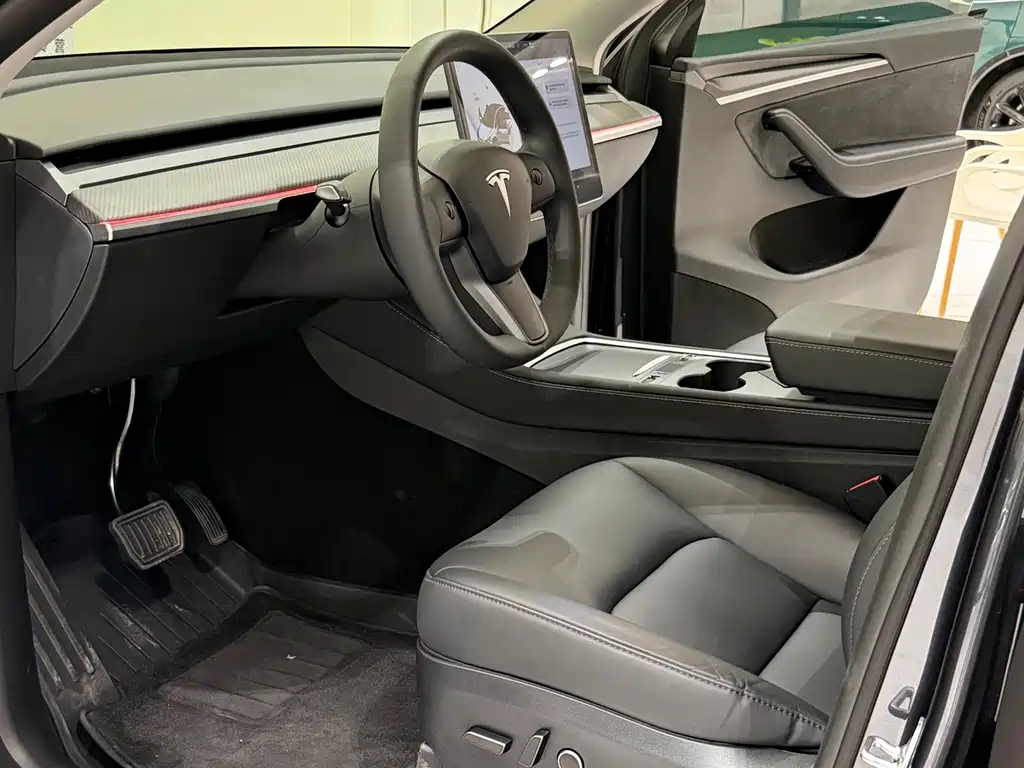 Tesla Model Y — миниатюра 6