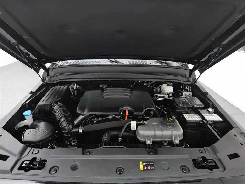 Tank 300 2024 2.0T