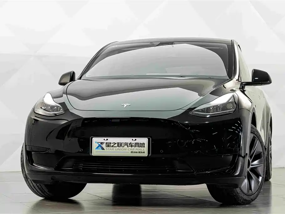 Tesla Model Y — миниатюра 3