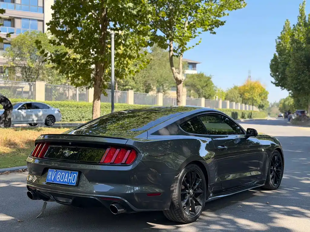 Ford Mustang — миниатюра 9