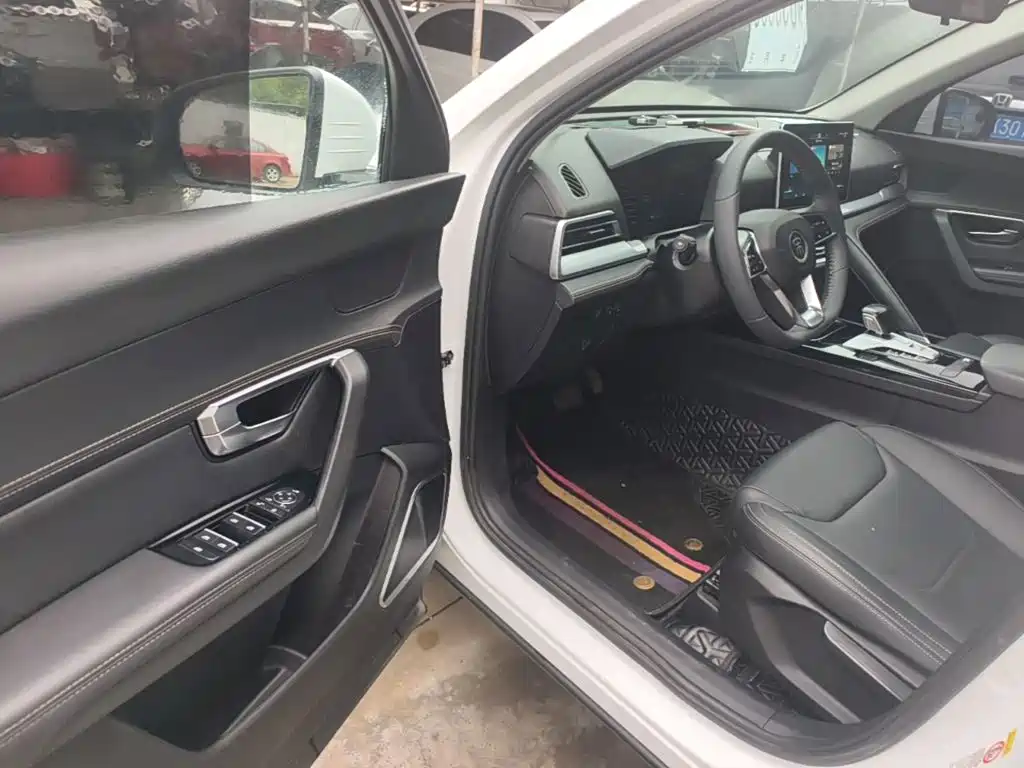BYD Pro — миниатюра 16