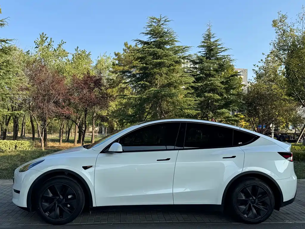 Tesla Model Y — миниатюра 6