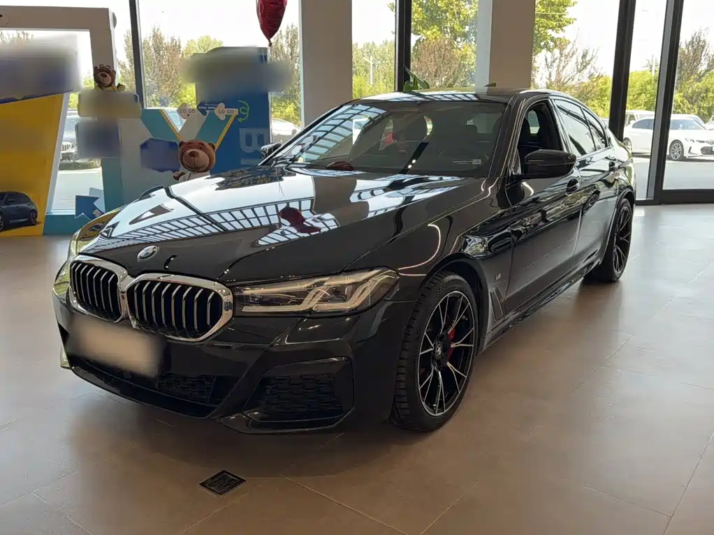 BMW 5 Series (Import) — миниатюра 4