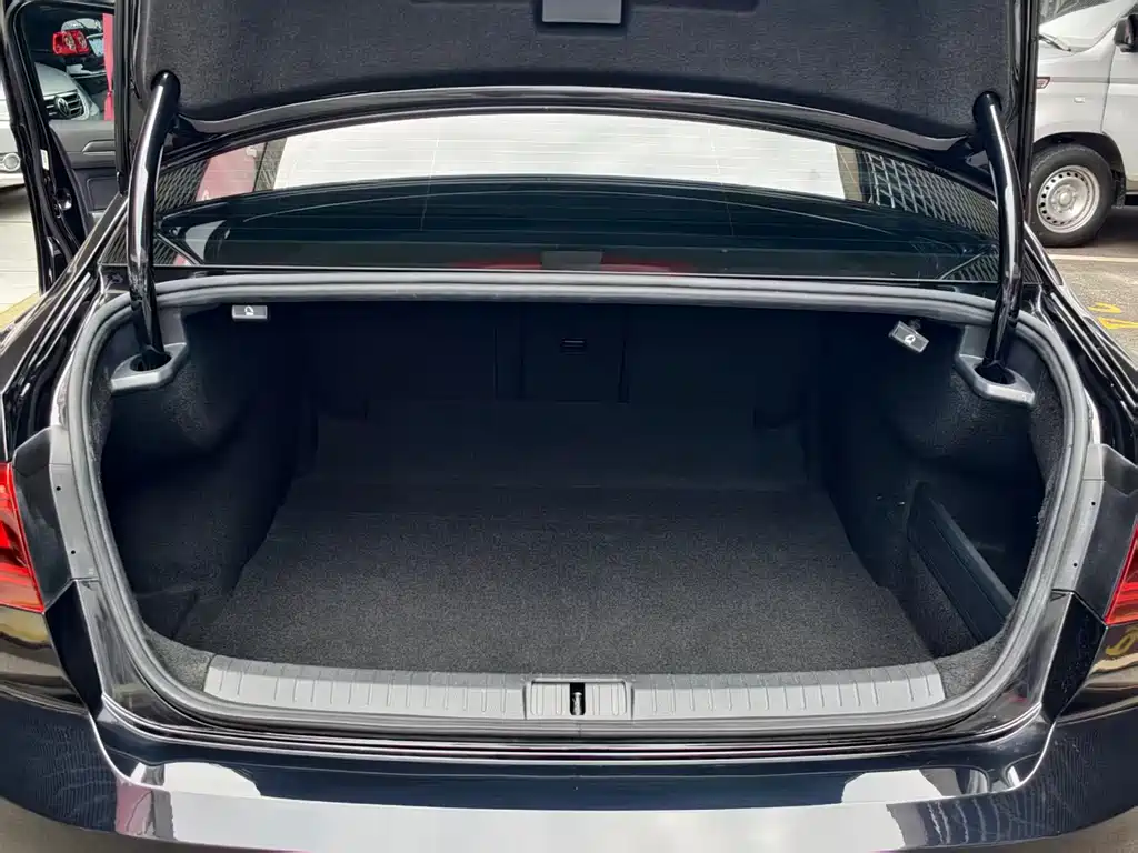 Volkswagen Magotan 2021 330TSI DSG 30