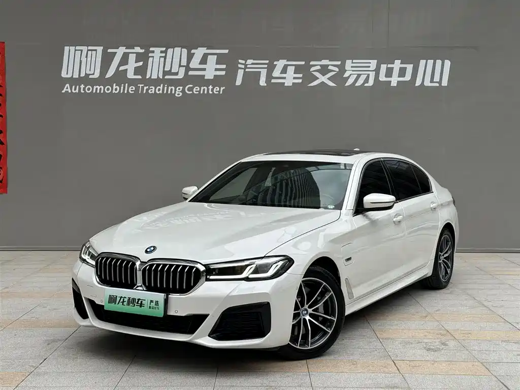 BMW 5 Series New Energy 2024