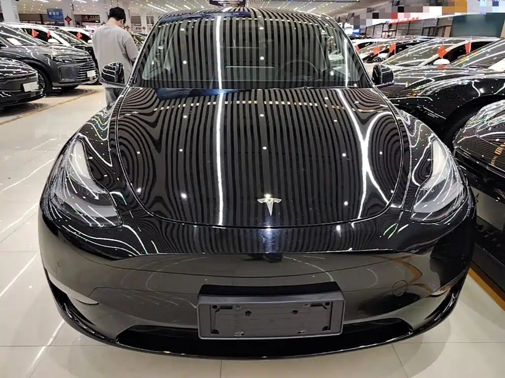 Tesla Model Y — миниатюра 3