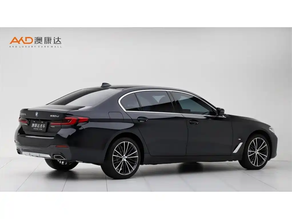 BMW 5 Series — миниатюра 3