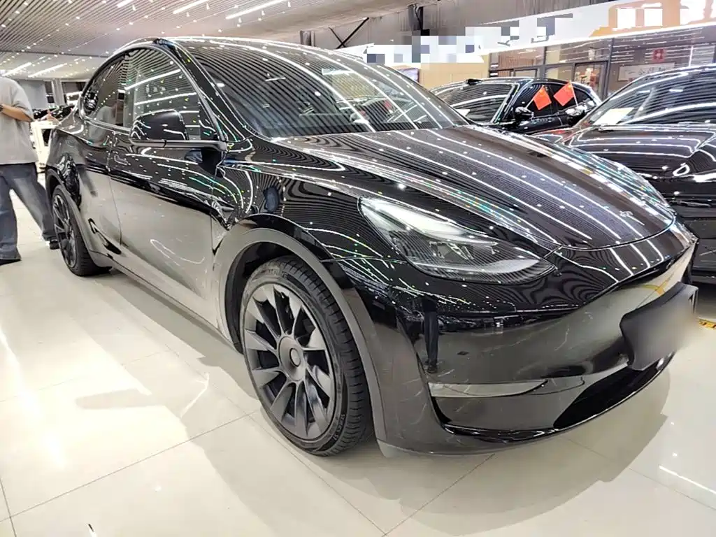 Tesla Model Y — миниатюра 4