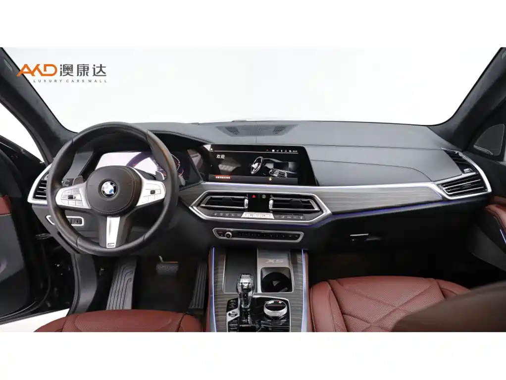 BMW X5 — миниатюра 5