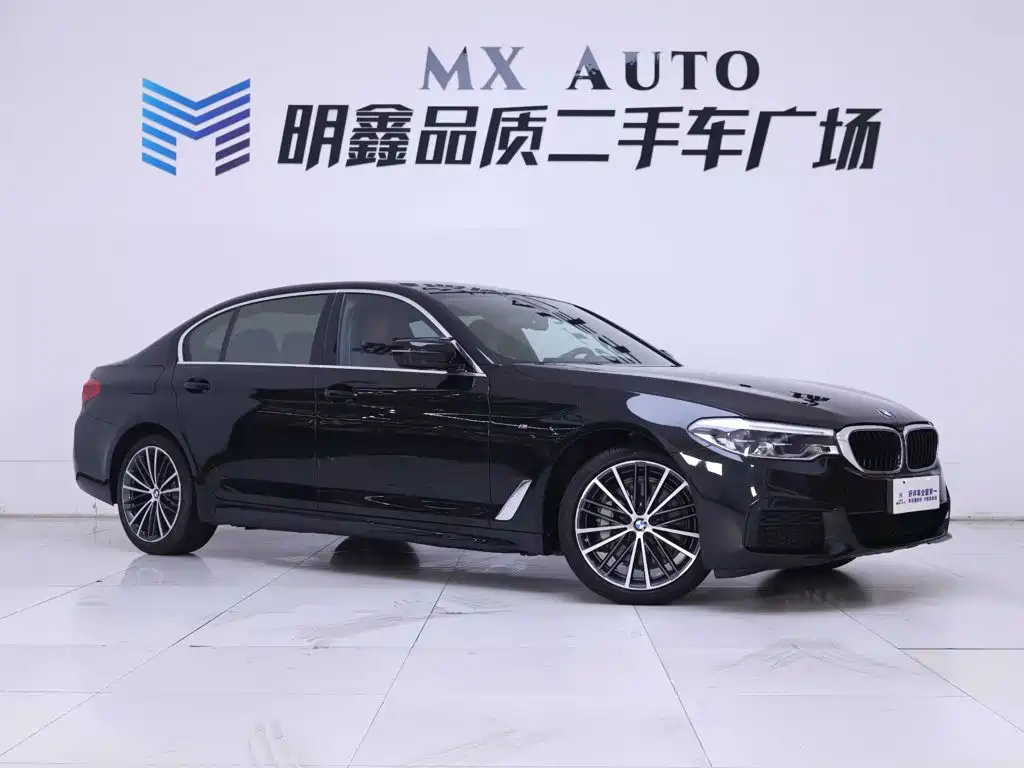 BMW 5 Series — миниатюра 5
