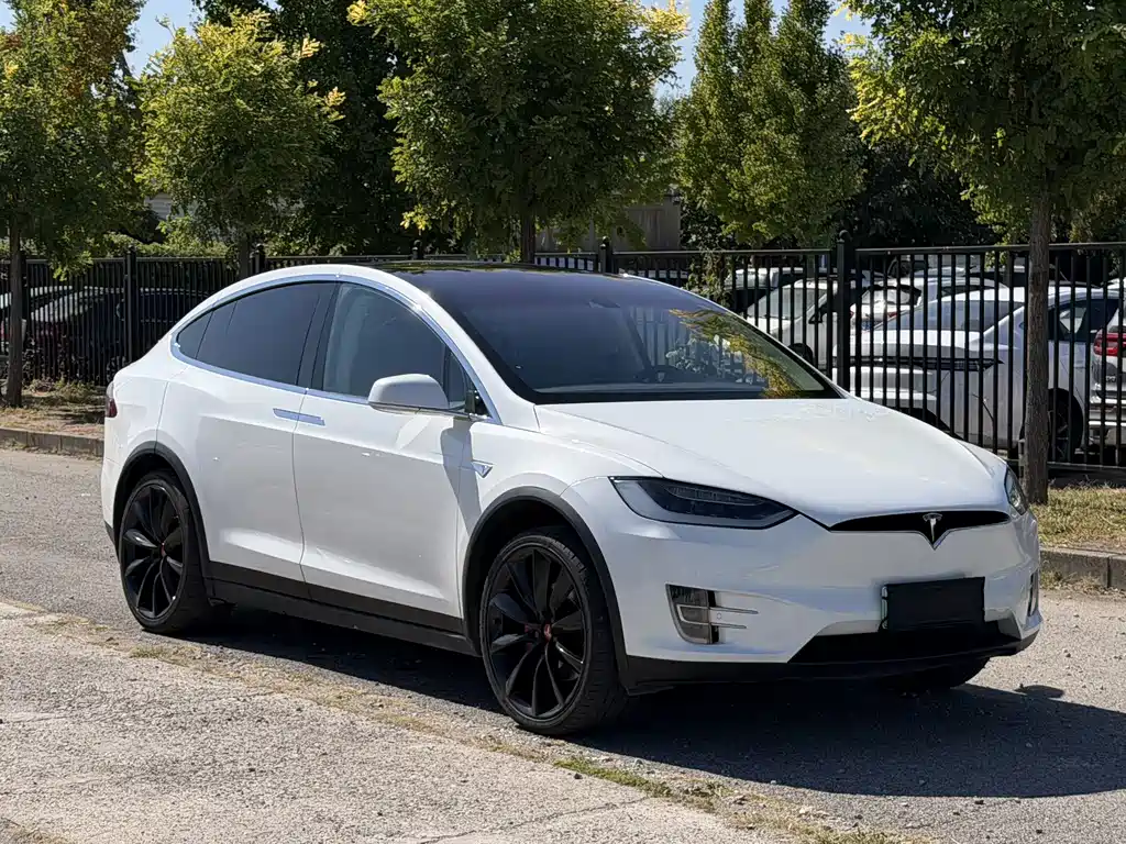 Tesla Model X — миниатюра 3