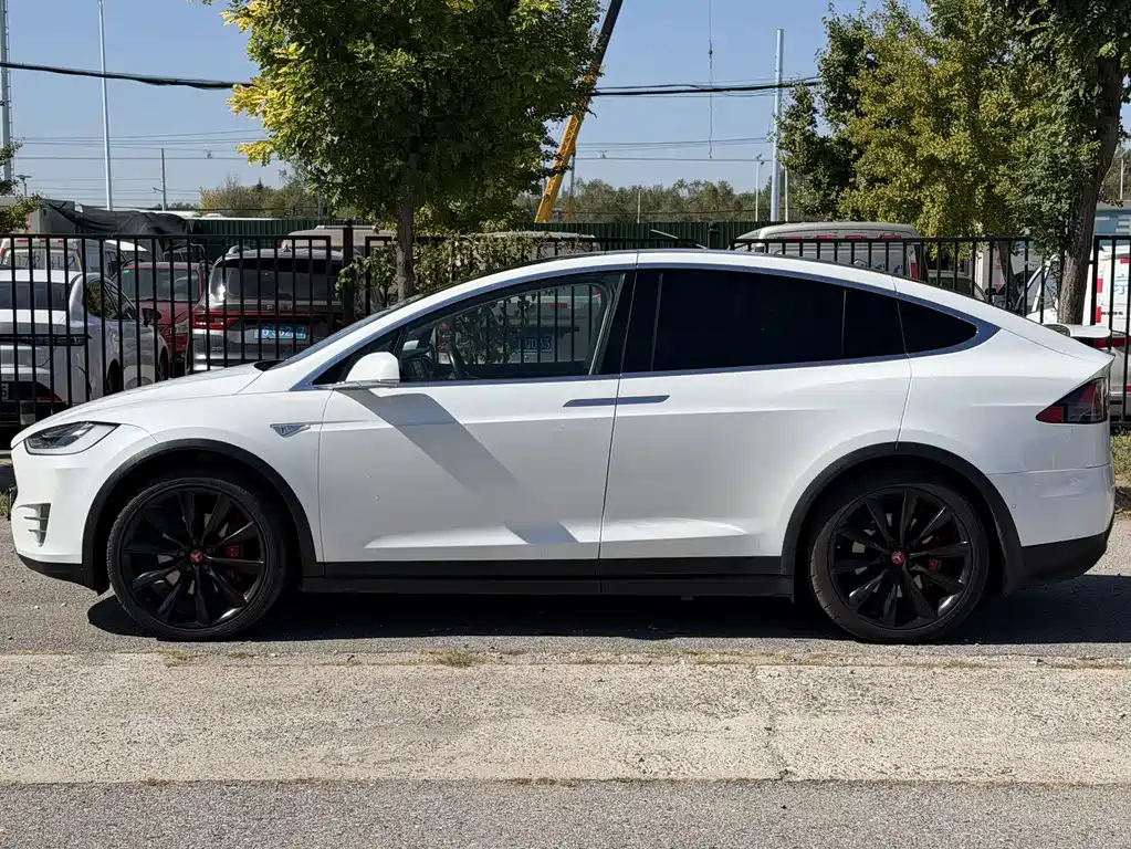 Tesla Model X — миниатюра 8