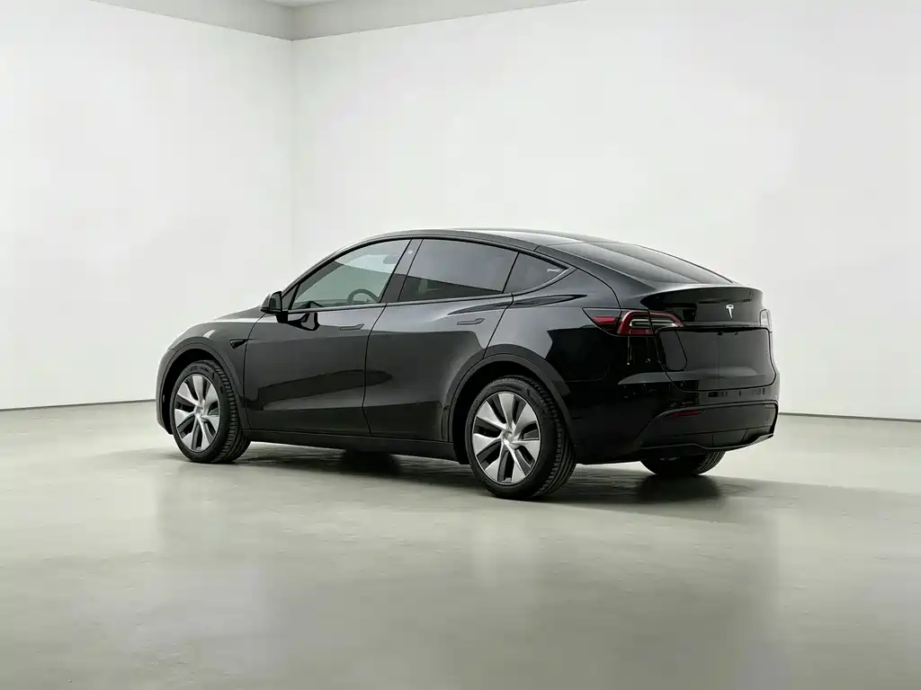 Tesla Model Y — миниатюра 8