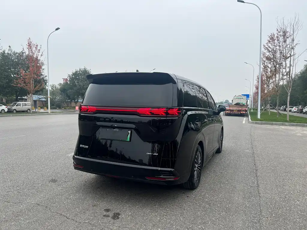 Denza Denza D9 — миниатюра 20