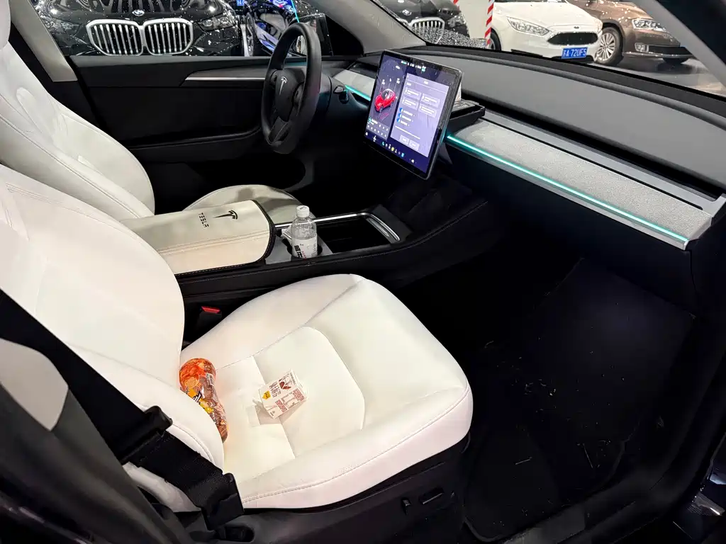 Tesla Model Y — миниатюра 9