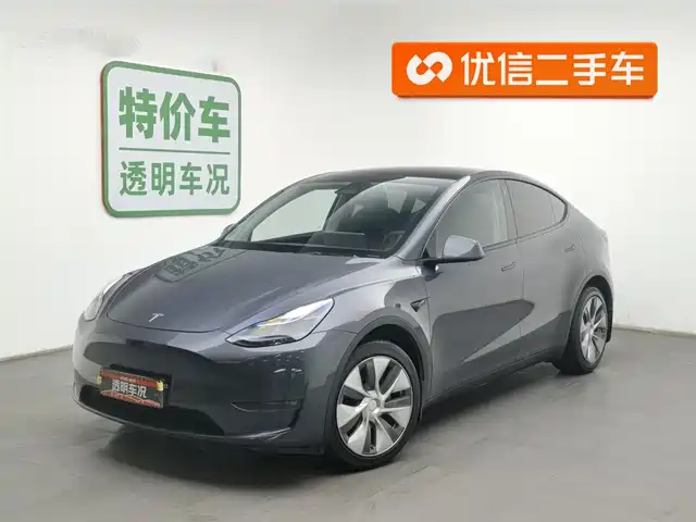 TESLA MODEL Y 2021