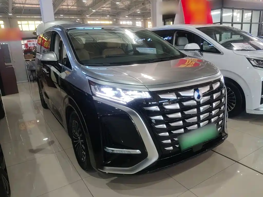 Denza Denza D9 — миниатюра 4