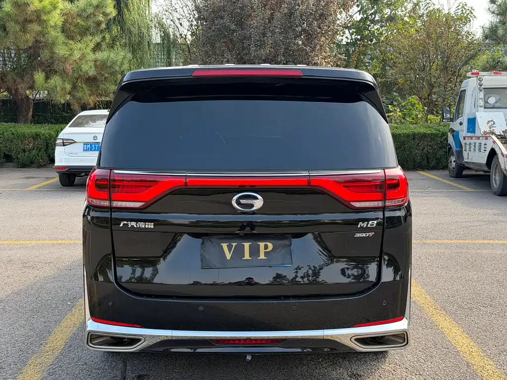 GAC Motor Trumpchi M8 — миниатюра 4