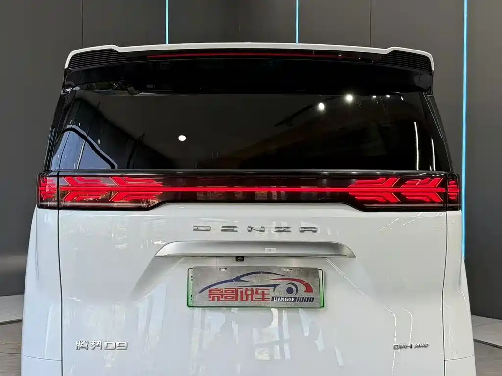 Denza Denza D9 — миниатюра 7