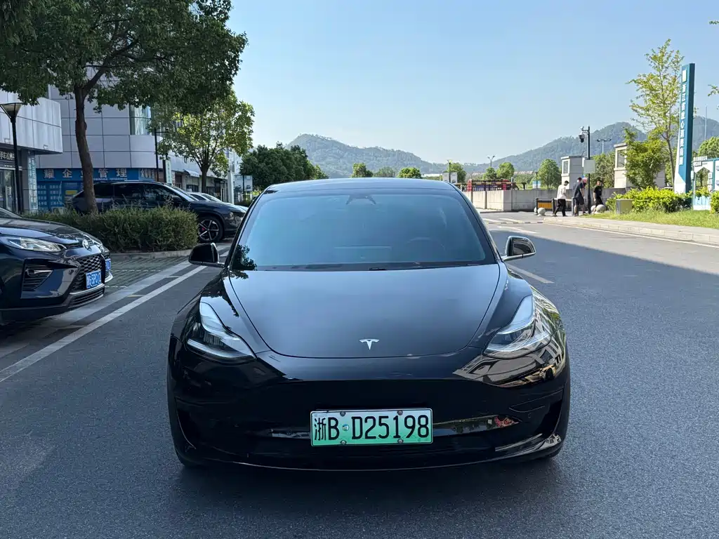 Tesla Model 3 — миниатюра 2