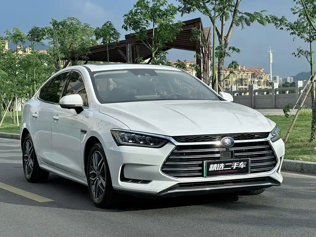 BYD Qin Pro NEV — миниатюра 2