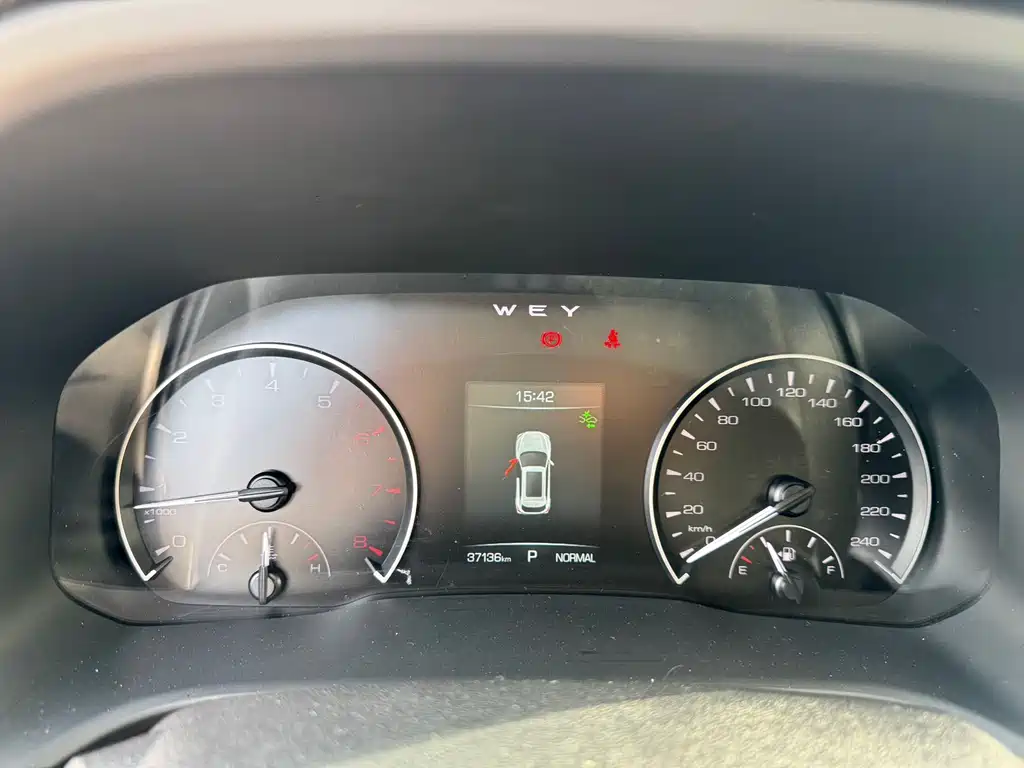 WEI PAI WEI BRAND VV5