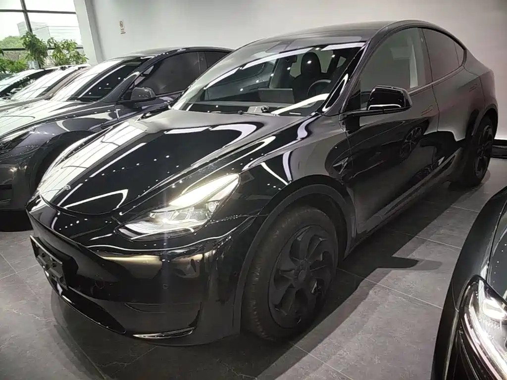 Tesla Model Y — миниатюра 2