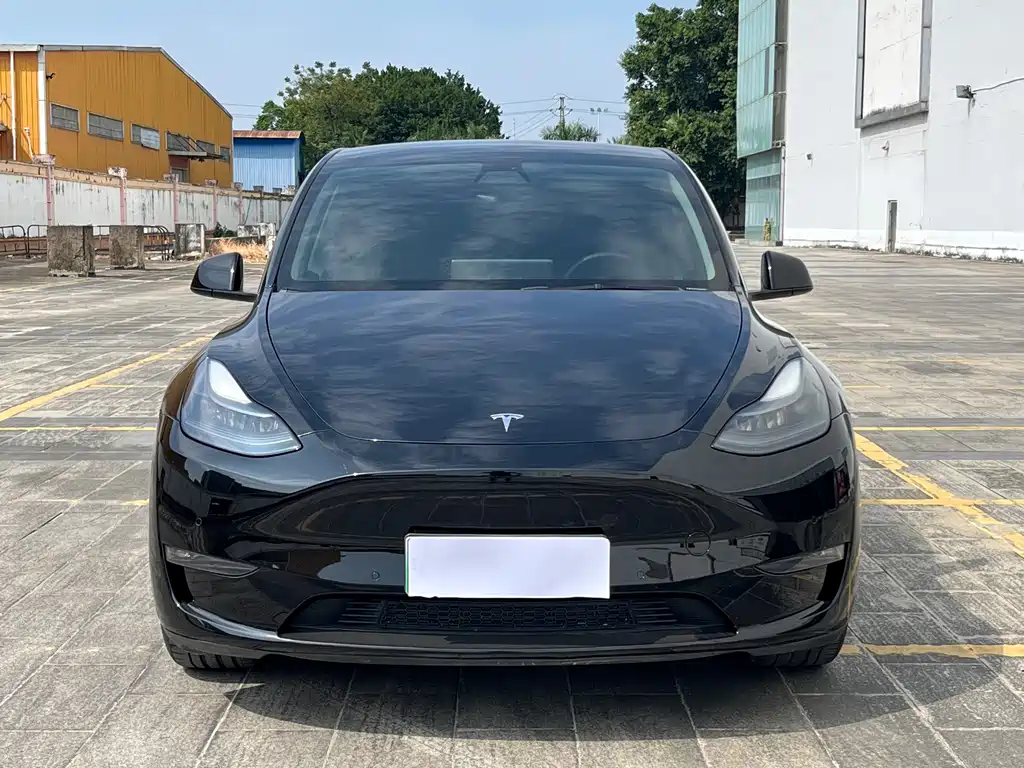 Tesla Model Y — миниатюра 2