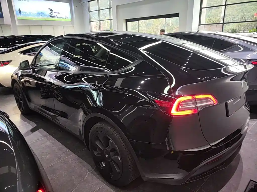 Tesla Model Y — миниатюра 5