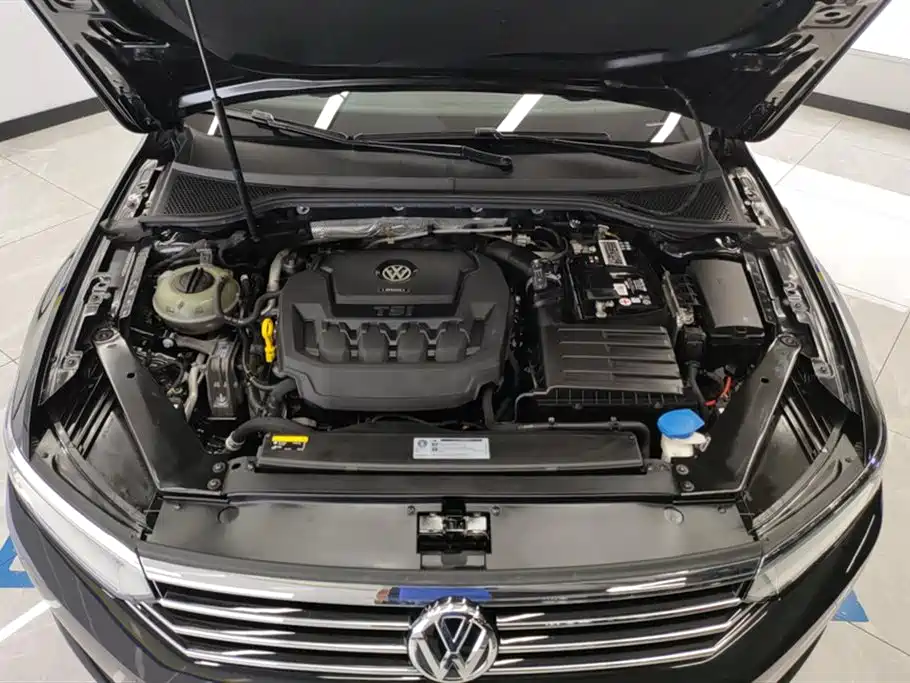 Volkswagen Magotan 2019 330TSI DSG Lead V