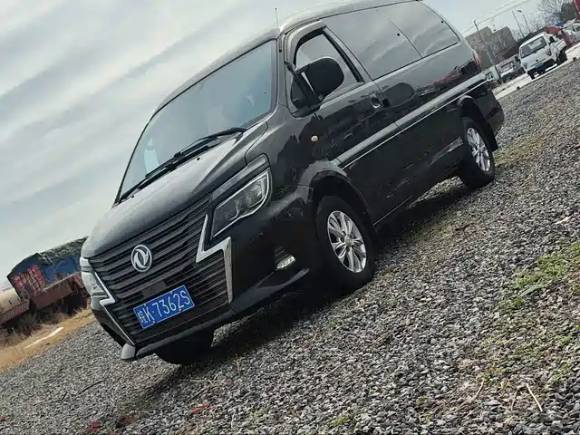 DONGFENG LINGZHI
