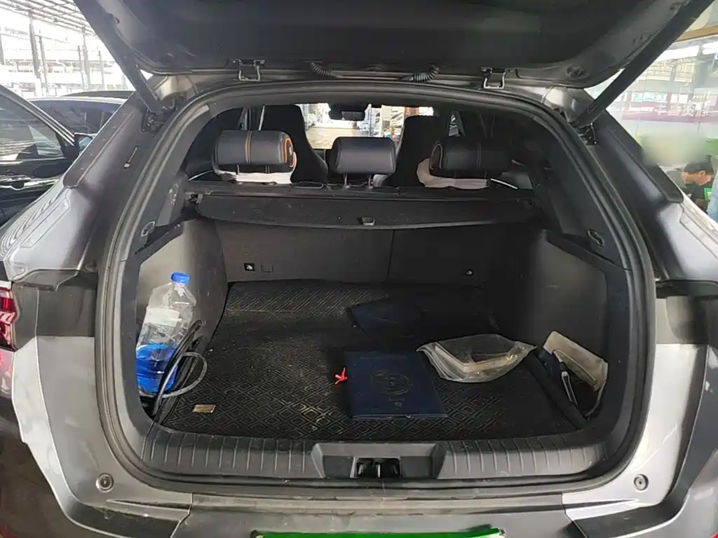 BYD PLUS New Energy — миниатюра 19