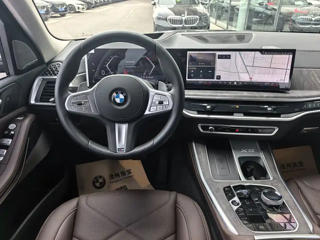 BMW X5 — миниатюра 8
