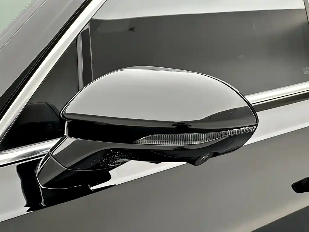 Hongqi Hongqi H9 — миниатюра 11