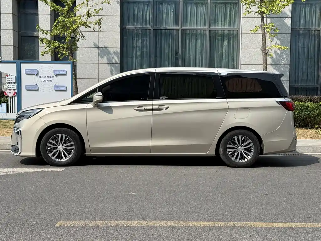 Buick GL8 — миниатюра 4