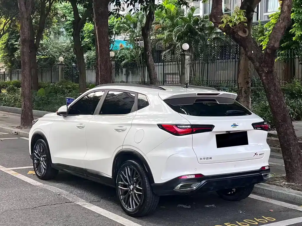 Oshan Oushang X5 — миниатюра 17