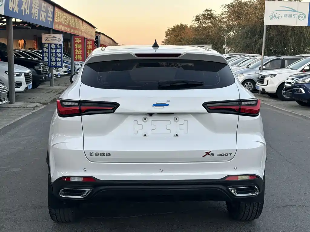 Oshan Oushang X5 — миниатюра 8