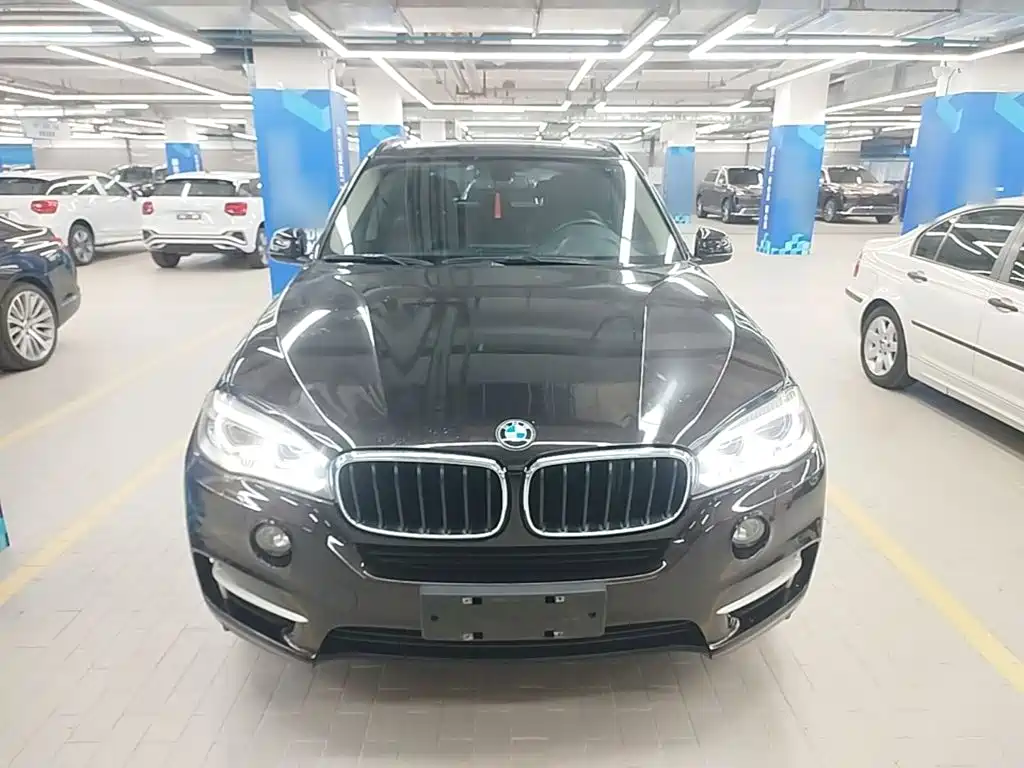 BMW X5 (Import) — миниатюра 3