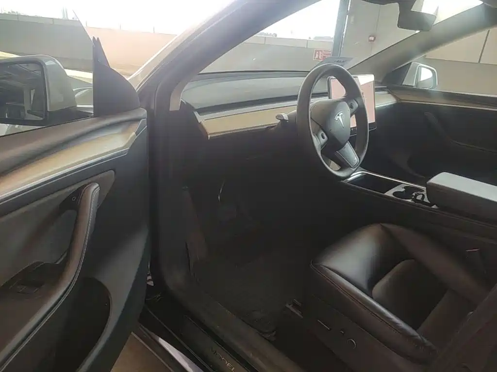Tesla Model Y — миниатюра 12