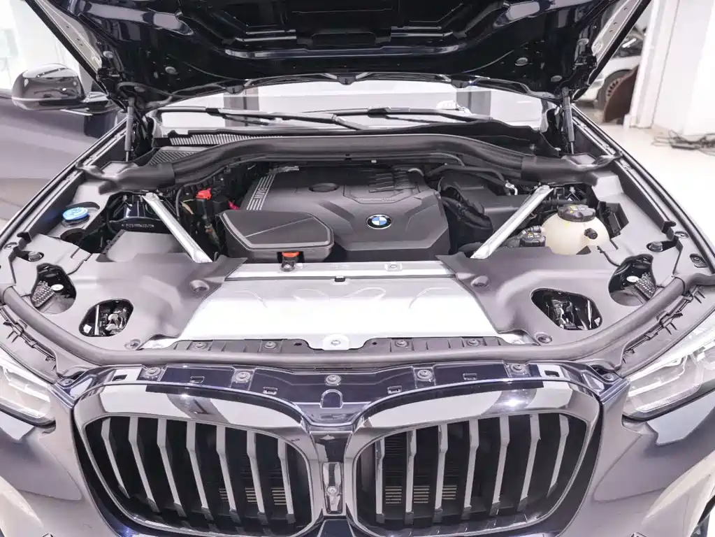 BMW X3 — миниатюра 22