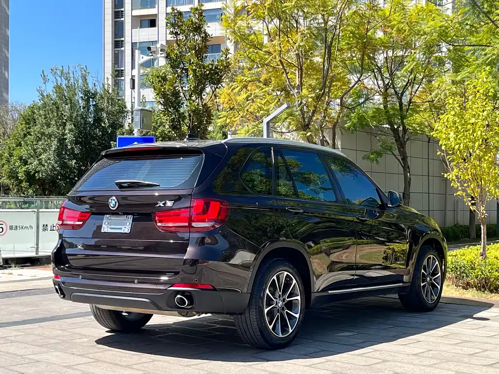 BMW X5 (Import) — миниатюра 7