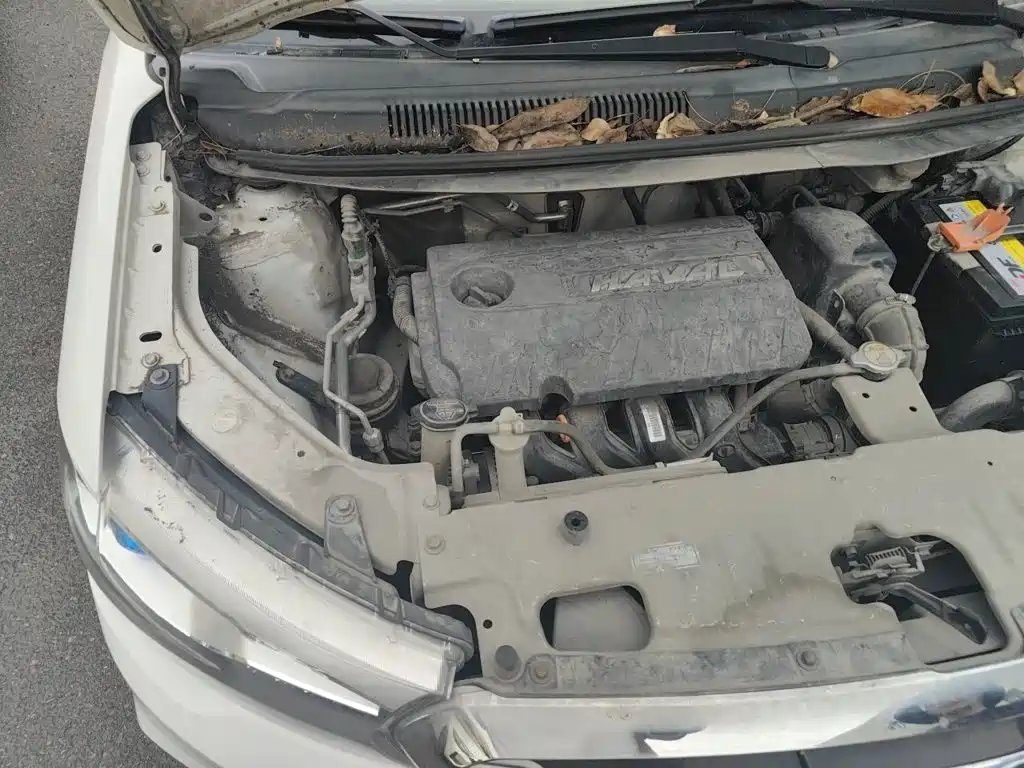 Haval H1 — миниатюра 19