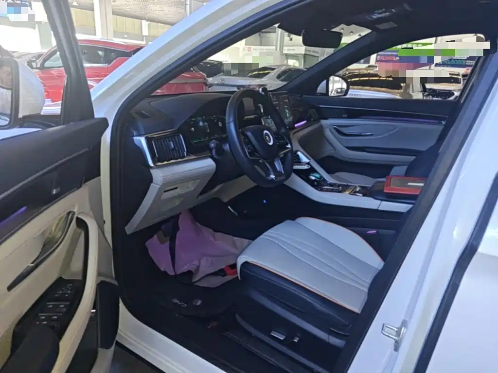 BYD PLUS New Energy — миниатюра 16