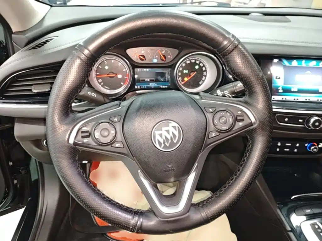 Buick Regal — миниатюра 11
