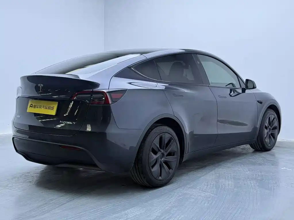 Tesla Model Y — миниатюра 4