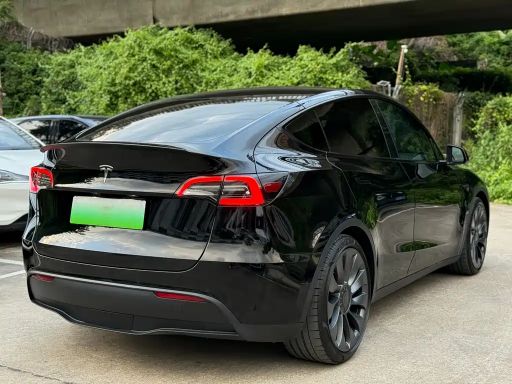 Tesla Model Y — миниатюра 6